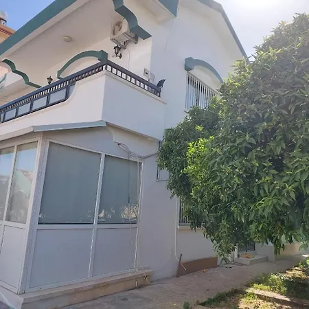 Green Island 3 * Famagusta (Northern Cyprus)